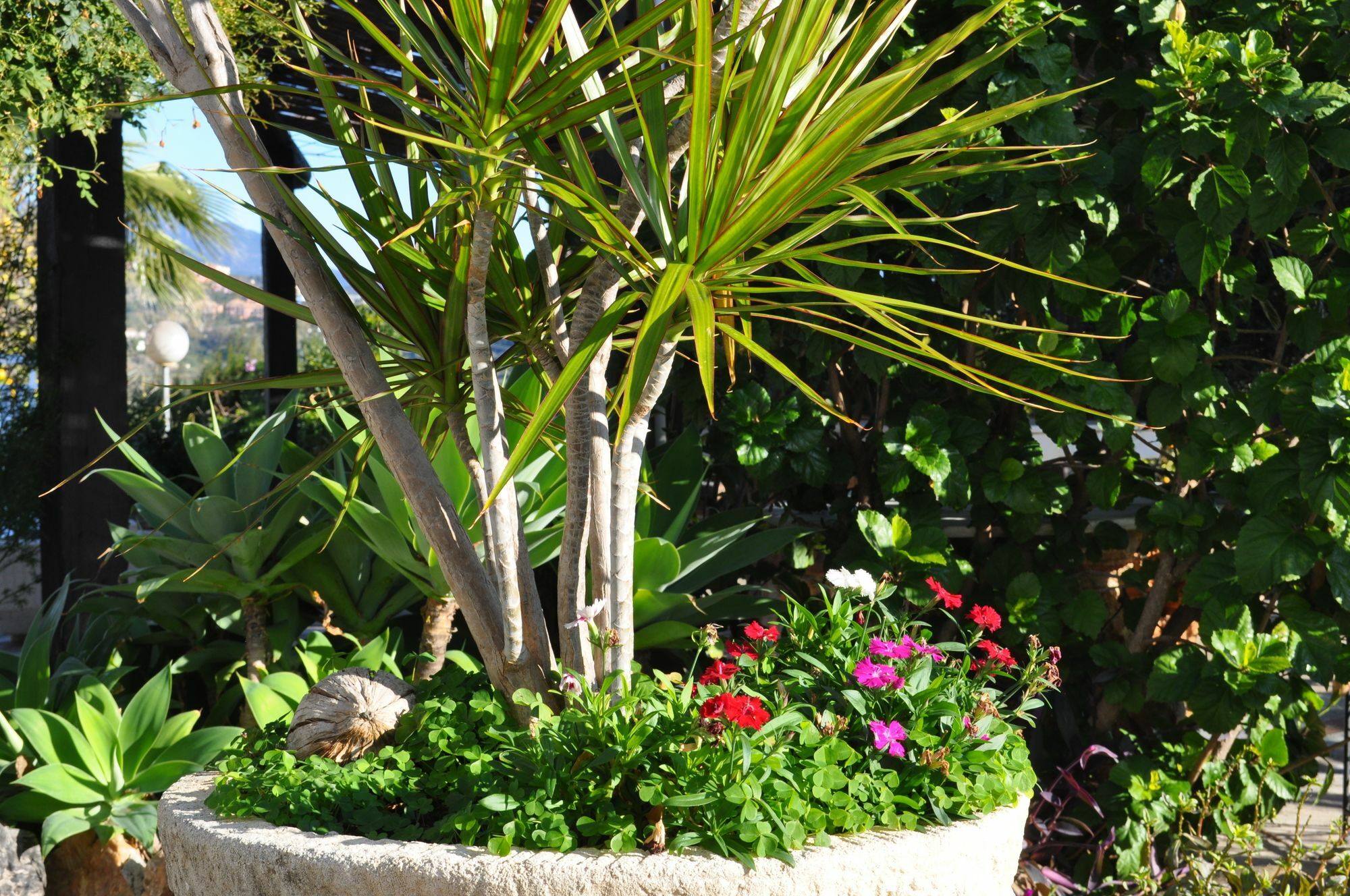 Casa Silca (Adults Only) Hotel Marbella Eksteriør billede